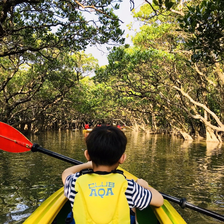2017年度の獲得マイル数 と 年末の家族奄美大島旅行